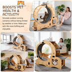 Rueda para gatos 6 en 1, Rueda de ejercicio para gatos mejorada, Rueda de correr para gatos grandes, Rueda de caminar para gatos, Muebles para gatos, Juguetes para gatos