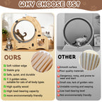 Rueda para gatos 6 en 1, Rueda de ejercicio para gatos mejorada, Rueda de correr para gatos grandes, Rueda de caminar para gatos, Muebles para gatos, Juguetes para gatos