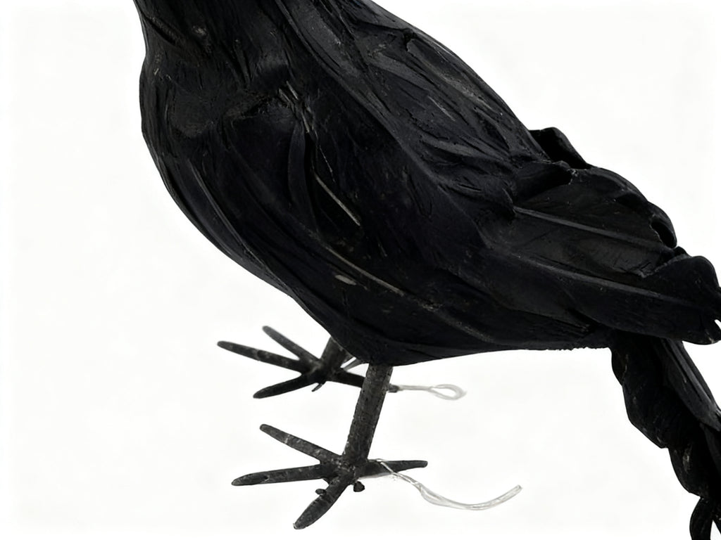 Cuervo Negro Pequeño para Halloween