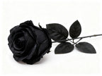 ROSA NEGRA ARTIFICIAL DE HALLOWEEN (1 UD.)