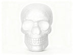 Calavera Halloween con Set de Pintura (2 Piezas)