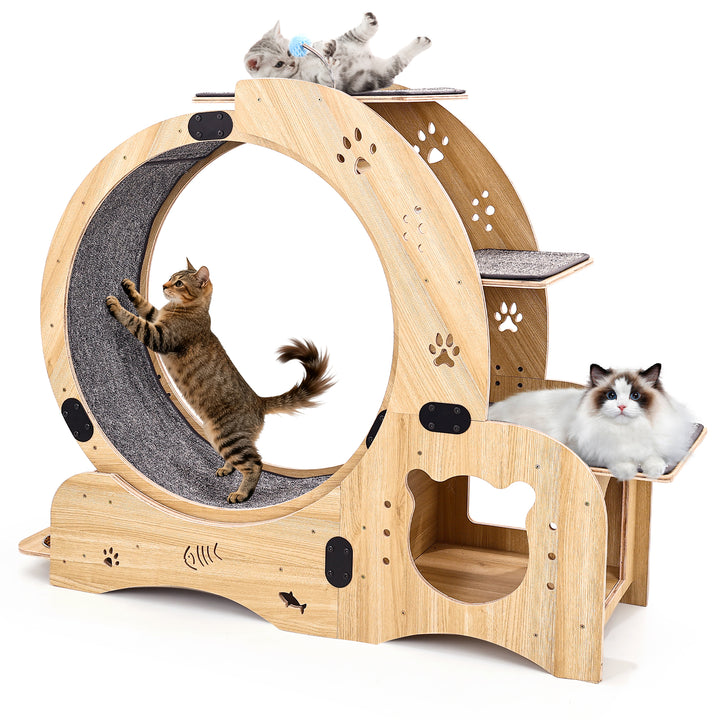 Rueda para gatos 6 en 1, Rueda de ejercicio para gatos mejorada, Rueda de correr para gatos grandes, Rueda de caminar para gatos, Muebles para gatos, Juguetes para gatos