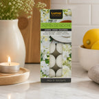 10er Pack kleine Duftkerzen Jasmin | Aromatherapie | Wohn- und Schlafzimmer